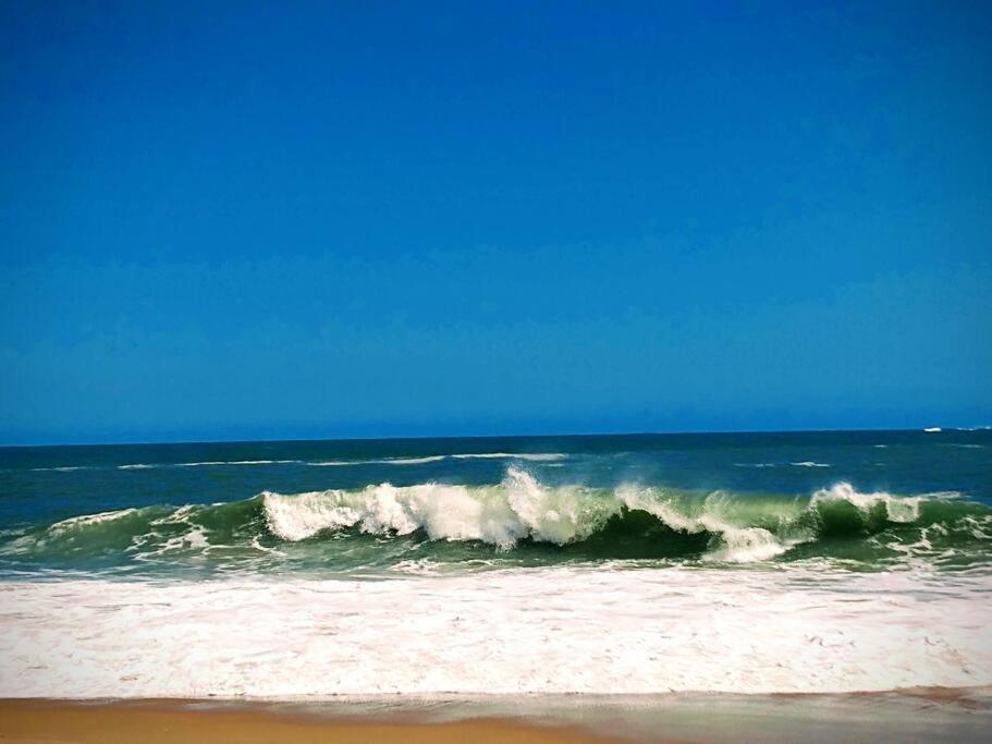 Aloha Sertao Flats Sao Sebastiao  Zewnętrze zdjęcie